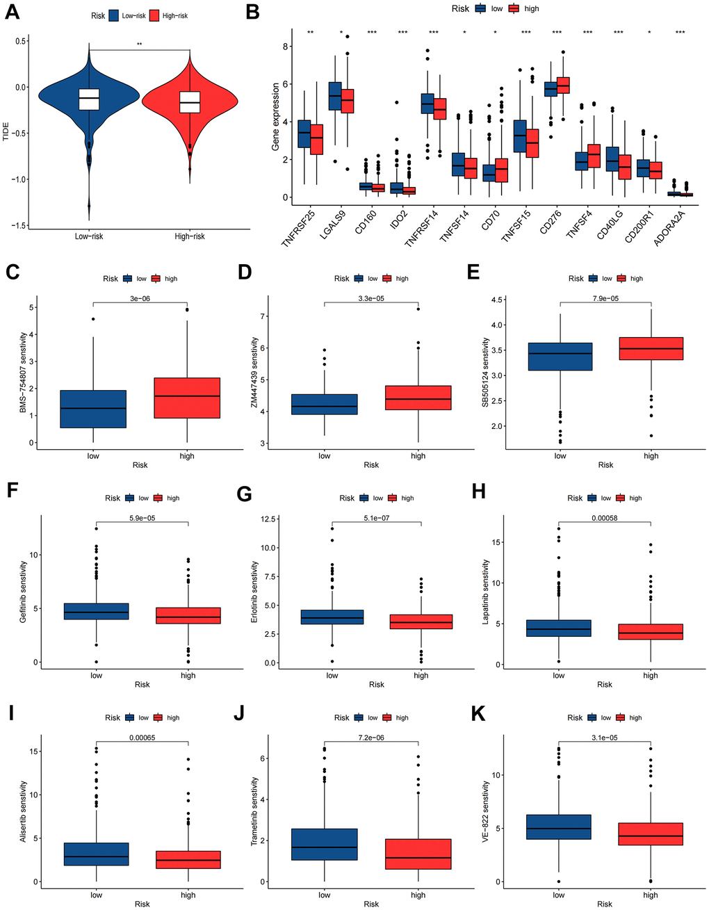 Immunotherapy and chemotherapy sensitivity. (A) Tumor immune dysfunction and exclusion (TIDE) algorithm analysis for the high-risk and low-risk groups. (B) Immune checkpoint genes expression level between high-risk and low-risk groups. (C–K) Chemosensitivity difference between high-risk and low-risk groups. *P