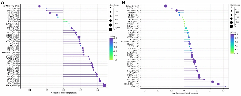 ALG3 genes are associated with tumor stemness and cancer cell sensitivity to chemotherapy. (A, B) Correlation matrix between ALG3 gene expression and cancer stemness scores RNAss and DNAss, respectively.
