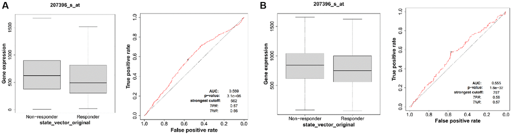 ALG3 expression is associated with therapeutic responses in breast cancer. (A) The receiver operating characteristic (ROC) curve plot of the association between ALG3 expression and responses to chemotherapy in breast cancer who had pathology complete response. (B) The ROC curve plot of the association between ALG3 expression and responses to chemotherapy in breast cancer who had relapse-free survival at five years.