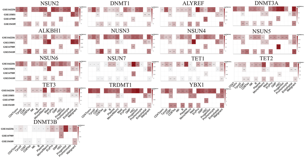 Expression levels of m5C regulators in specific cell types based on single cell expression data.