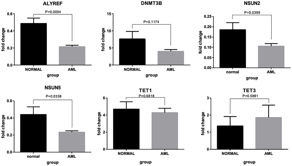 RT-qPCR validation of six m5C regulator genes. Bar plots showing differential expressions of ALYREF, DNMT3B, NSUN2, NUSN5, TET1 and TET3 between AML patients and normal controls.