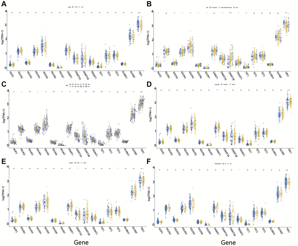 Clinical characteristics of m5C regulators in acute myeloid leukemia (AML). Expression of m5C regulators between (A) age groups, (B) CR groups, (C) FAB groups, (D) male and female, (E) survival status, and (F) before and after treatment in AML patients. *p **p ***p 