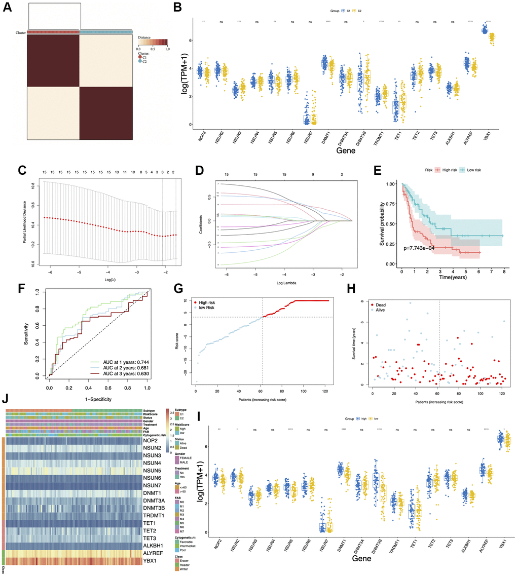 Consensus clustering and prognostic model of m5C regulators in acute myeloid leukemia (AML). (A) Consensus clustering matrix for k = 2. (B) Box plots showing the expression of m5C regulators in two clusters. (C, D) LASSO Cox regression algorithm was used for calculating the minimum criteria. (E) Kaplan–Meier curves showing the overall survival of AML patients with high- and low-risk scores. (F) ROC curve showing the AUC value of the model for different survival times. (G, H) Distribution of the risk score and survival status. (I) Box plots showing the expression of m5C regulators in high- and low-risk groups. (J) Heatmap and clinicopathological characteristics of AML molecular subtypes and high- and low-risk groups. *p **p ***p 