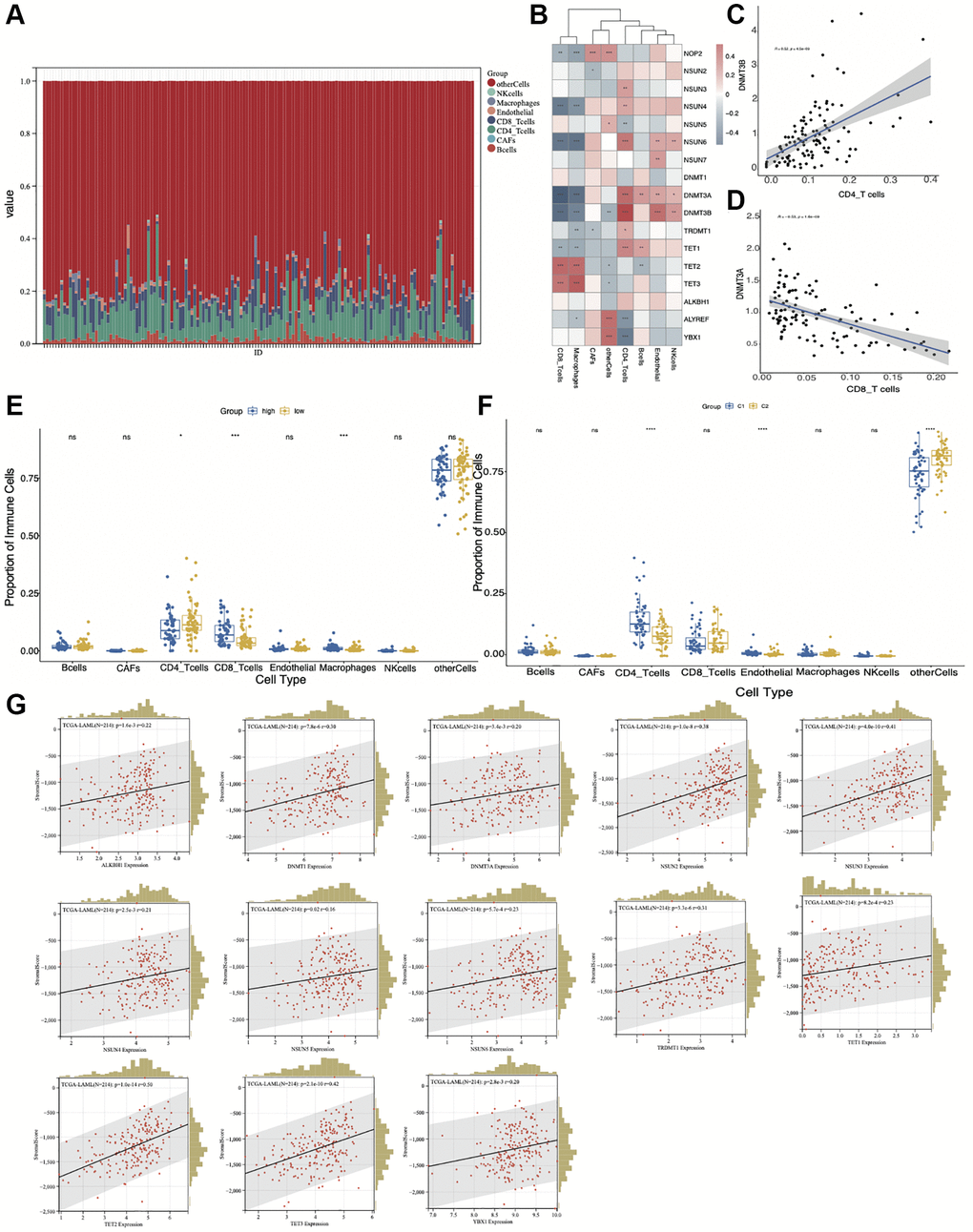 Correlation of the immune cell infiltration with high- and low-risk groups and m5C regulators-based subtypes. (A) The proportion of immune cells by EPIC algorithm. (B) The correlation between m5C regulators and different immune cell types. (C) DNMT3B is positively correlated with CD4 T-cells. (D) DNMT3A is negatively correlated with CD8 T-cells. (E) Differential infiltration of immune cell types between low- and high-risk groups. (F) Differential infiltration of immune cell types between C1 and C2 groups. (G) Correlation between m5C regulators and stromal score. *p **p ***p 