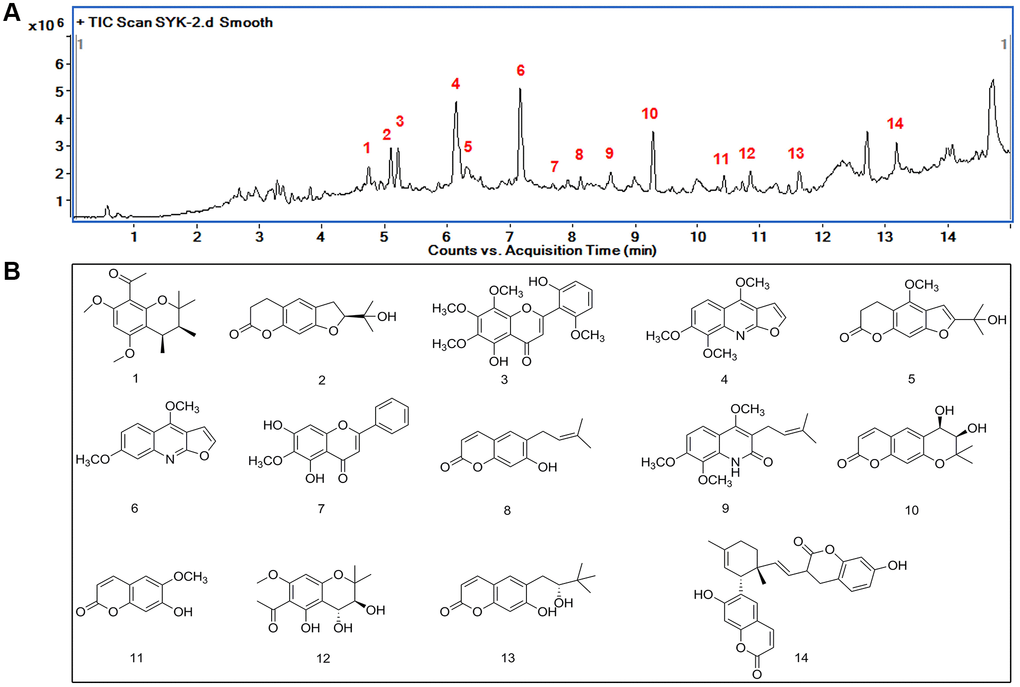 Yu品 Ethanol extract of Evodia lepta Merr. ameliorates cognitive