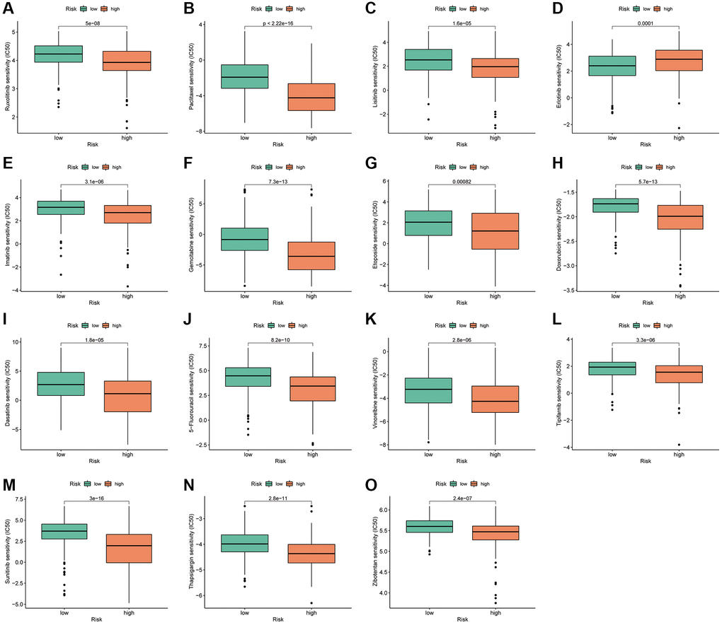 PANRI-based drug sensitivity analysis. (A–O) Box plots show that the IC50 for certain clinical therapeutics differed significantly between the two risk subgroups (p 