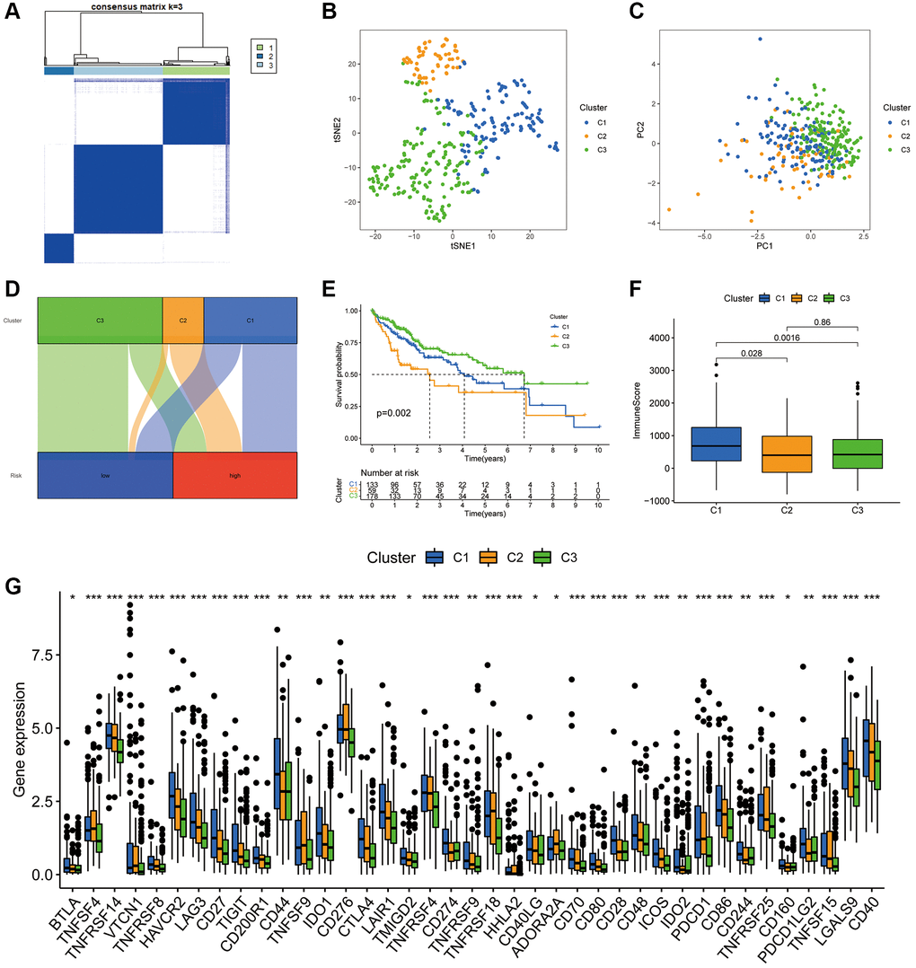 Hepatocellular carcinoma classification based on the PANRI. (A) Patients were divided into three clusters based on the consensus clustering matrix. (B–C) tSNE and PCA analyses of the three clusters. (D) Sankey plot for the risk cohorts and three clusters. (E) Kaplan–Meier curves of the three clusters. (F) Box plots of the differences in immune cell scores in the three clusters. (G) Expression of immune checkpoints in the three clusters. *p **p ***p 