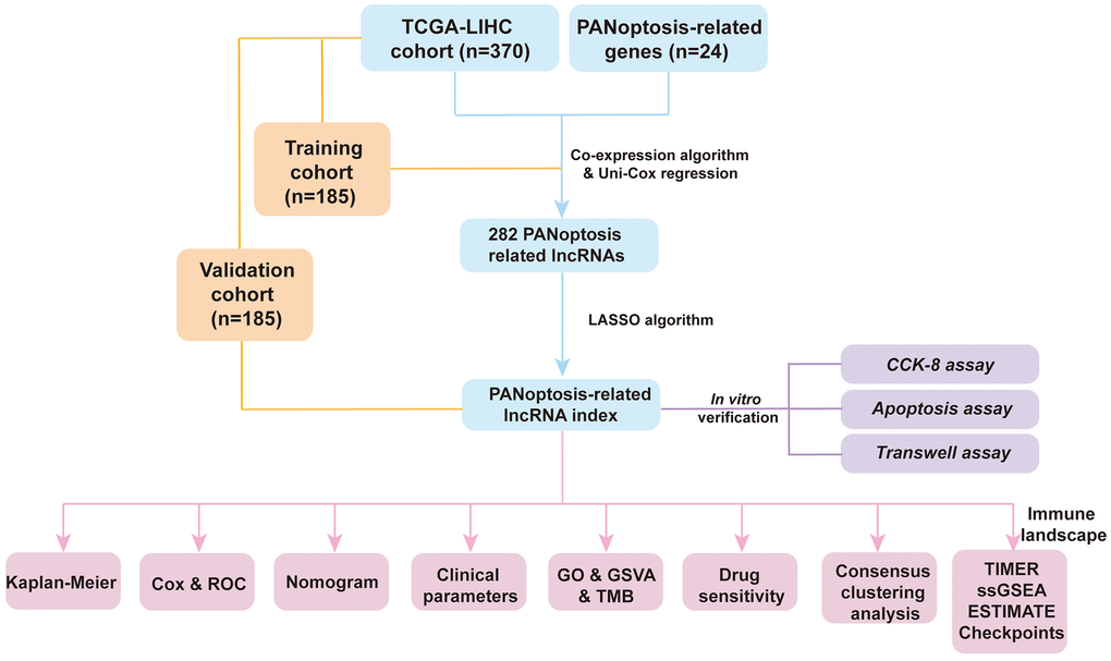 A novel PANoptosis-related long non-coding RNA index to predict