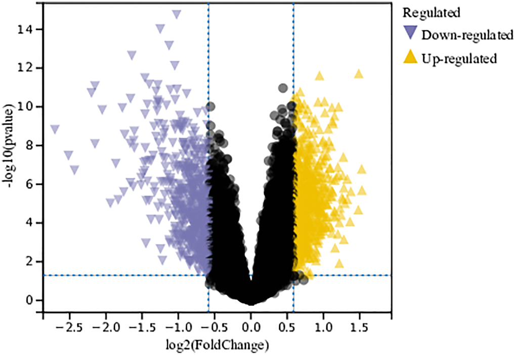 Analysis of differentially expressed genes. A total of 1243 DEGs were identified.