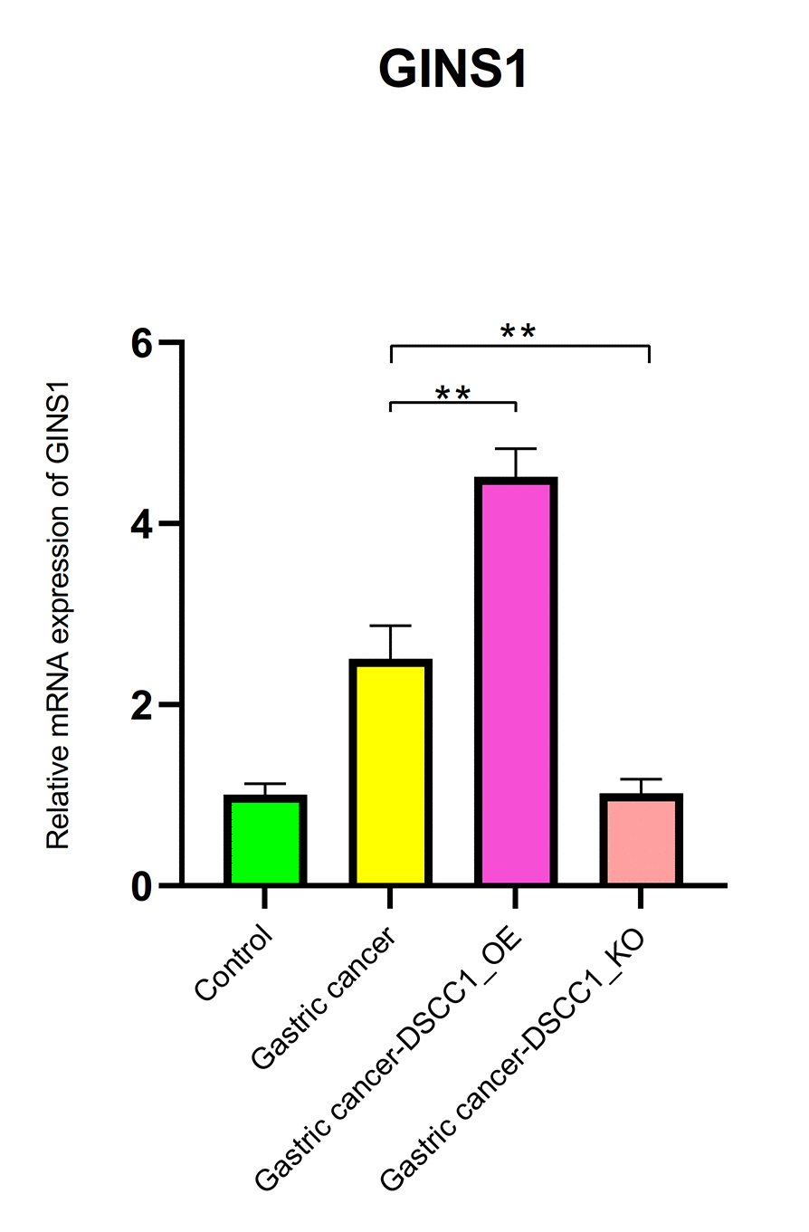 Reverse transcription-polymerase chain reaction. mRNA expression levels of GINS1.