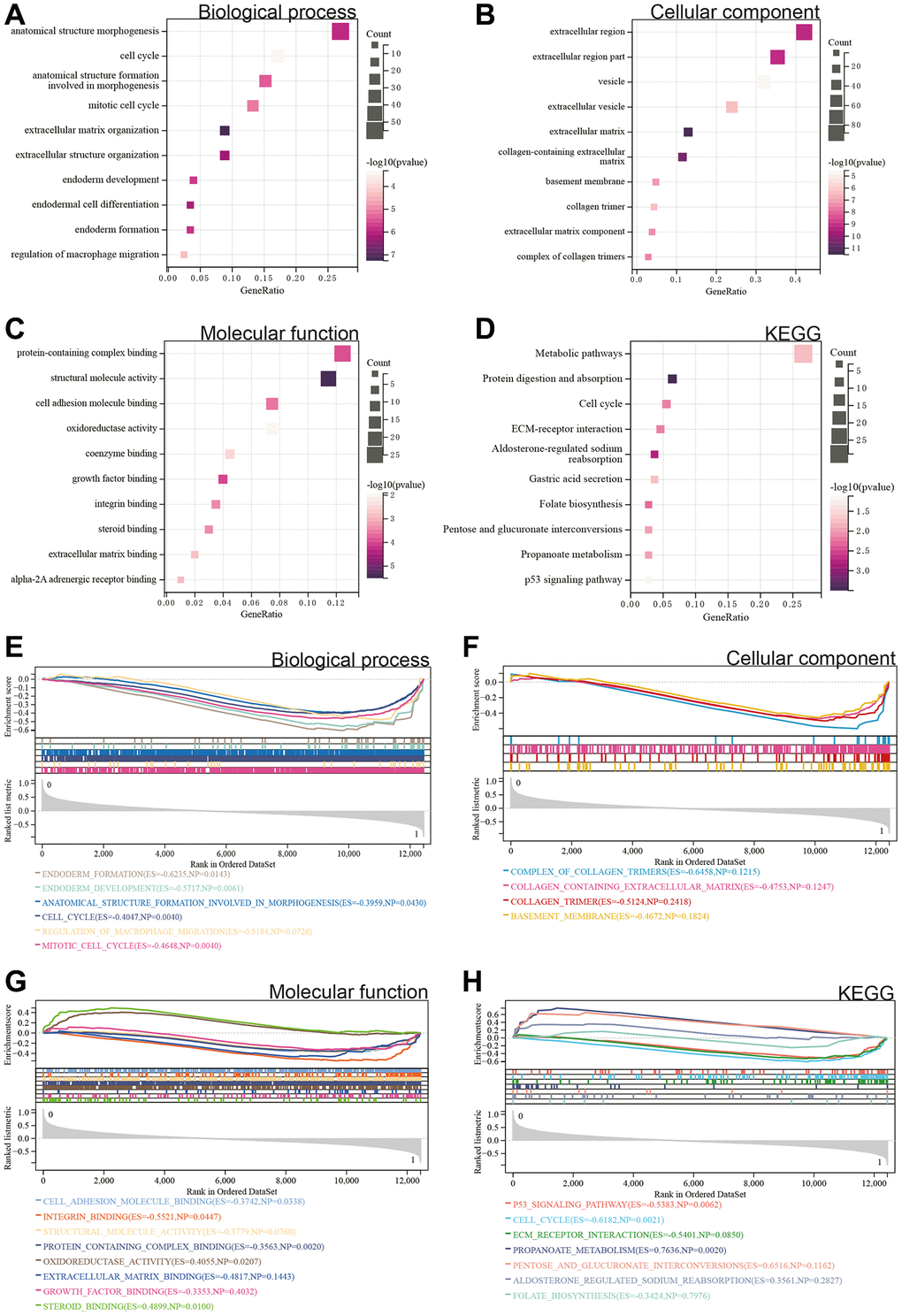 Functional enrichment analysis. (A–D) DEGs. (E–H) GSEA.