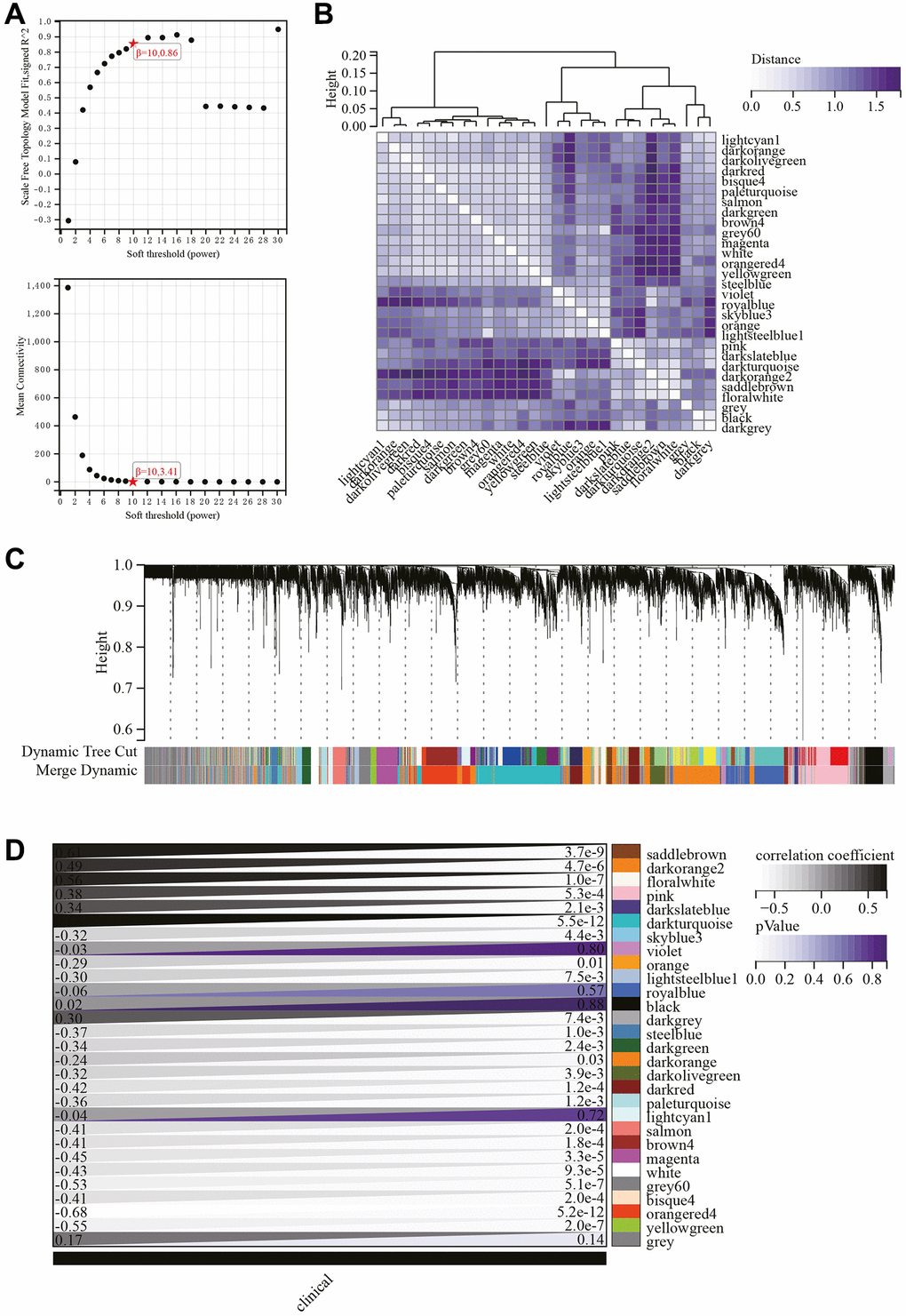 WGCNA. (A) β = 10, 0.86, β = 10, 3.41. (B) Gene hierarchical clustering tree. (C) Generated 29 modules. (D) Heatmap showing the correlation between modules and phenotypes.