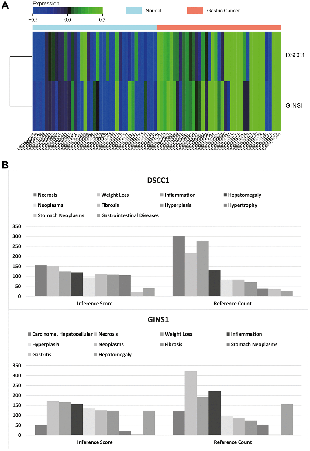 Heatmap of core gene expression. (A) Visualization of core gene expression in the merged matrix of gastric cancer datasets GSE79973, GSE118916, GSE118897, GSE172032, with respective heatmaps. (B) CTD analysis showing associations of core genes (DSCC1, GINS1) with gastric tumors, gastrointestinal diseases, tumors, gastritis, inflammation, and necrosis.