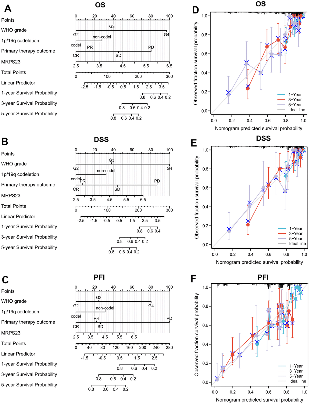 Nomogram and calibration curve for predicting the probability of 1-, 3-, and 5-years OS for glioma patients. (A–C) A nomogram integrates MRPS23 and other prognostic factors in glioma from TCGA data. (D–F) The calibration curve of the nomogram.