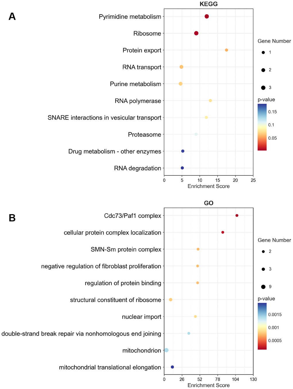 KEGG and GO enrichment of top 50 similar genes related to MRPS23 in glioma. The KEGG term (A) and GO term (B) of MRPS23 analysis by using top 50 similar genes related to it in glioma.