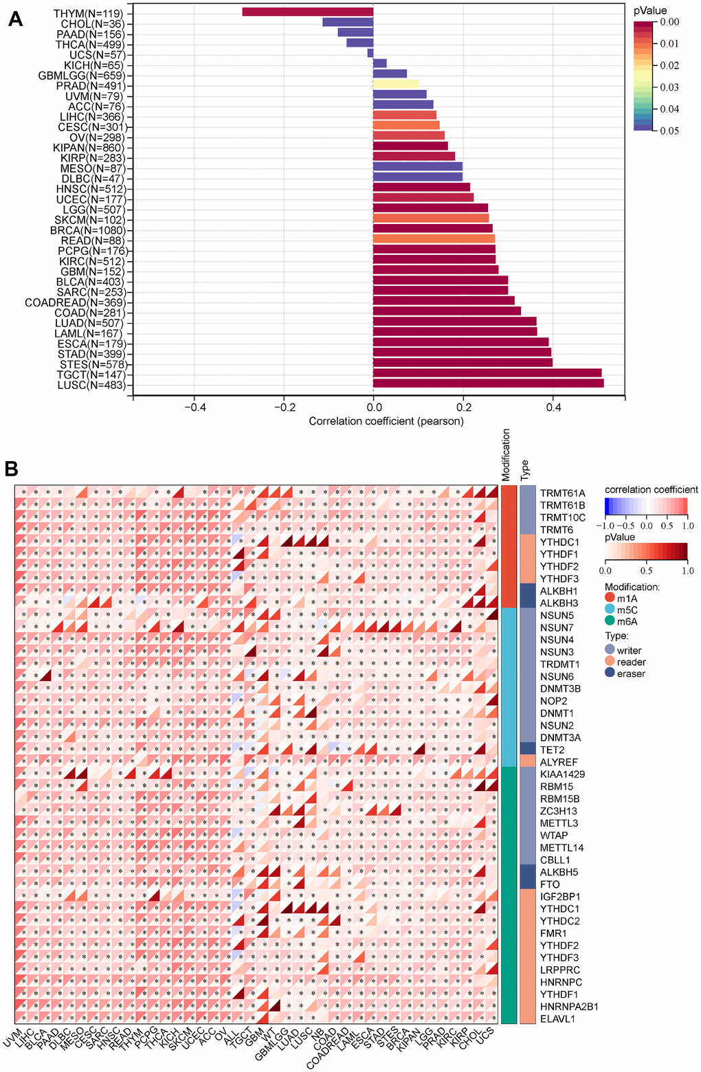 Analysis of the correlation between the MRPS23 expression and stem cell and RNA modification in pan-cancer. (A) Correlations between MRPS23 expression and the level of stem cell. (B) Correlations between MRPS23 expression and RNA modification.