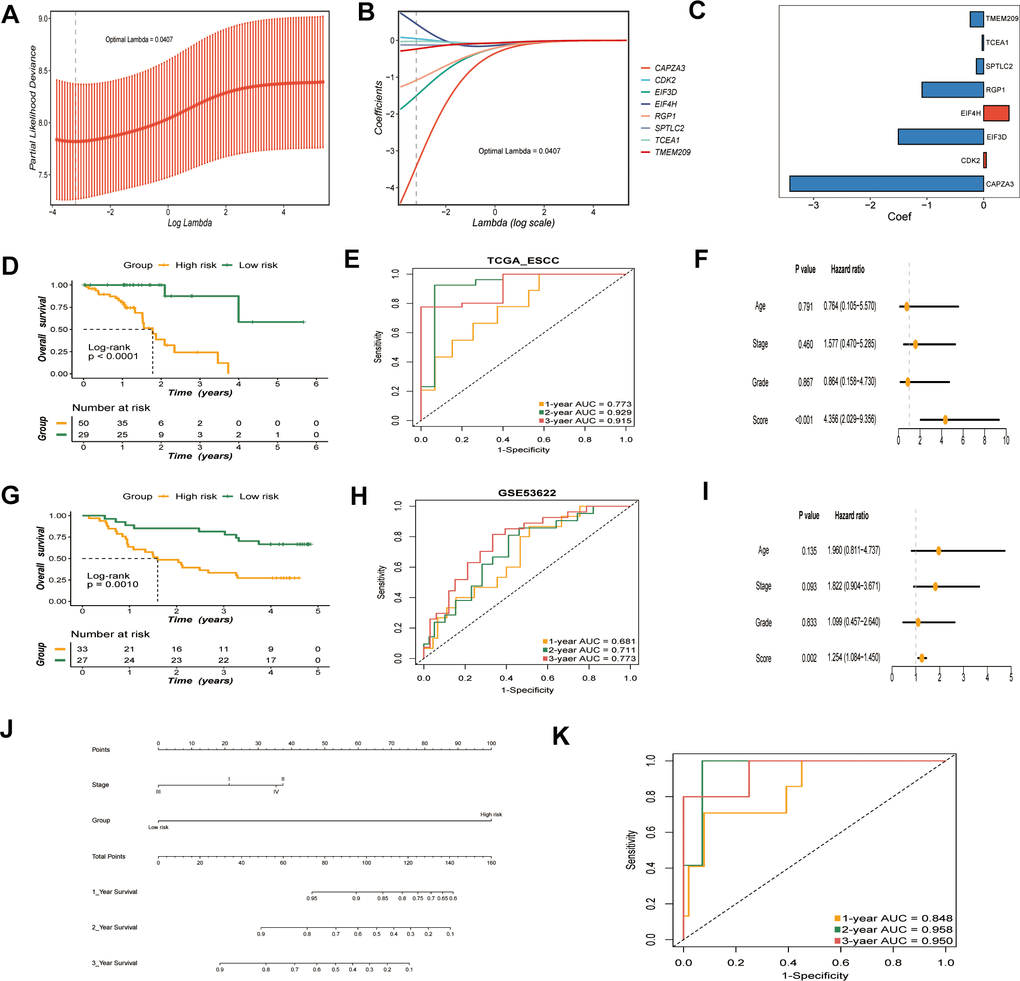 Construction and validation of the GRTTK based risk model. (A) Optimal regularization parameter (λ) selection (λ = 0.0407) using minimum partial likelihood deviance for TCGA cohort. (B) Coefficients of the risk model corresponding to the optimal λ. (C) Coefficient values for the eight genes in the risk model. (D) Kaplan-Meier analysis of overall survival (OS) based on risk groups in TCGA cohort. (E) ROC curves evaluating risk model performance in TCGA cohort. (F) Multivariable Cox analysis of the TCGA-ESCC cohort. (G) OS in the high-risk and low-risk groups in the GEO cohort (P = 0.0010). (H) ROC curves for the risk model for the GSE53622 cohort. (I) Multivariate Cox analysis of the GSE53622 cohort. (J) A nomogram displaying the predictive value of clinical stage and risk models. (K) AUC for the combined evaluation of patient prognosis using clinical stage and risk scores.