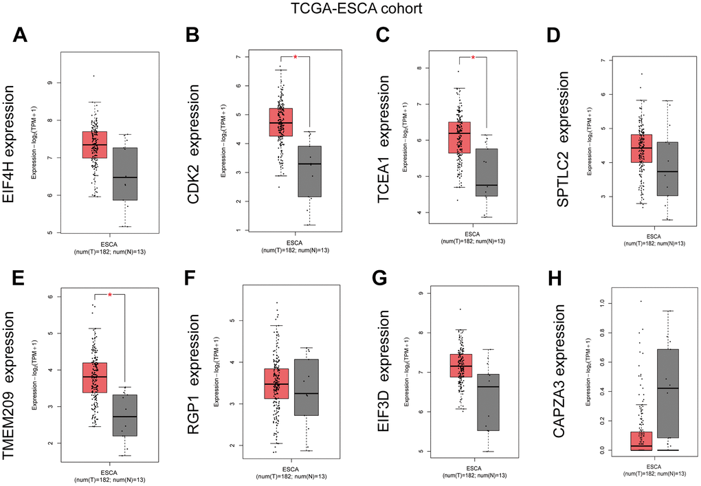 Expression Level of GRTTKs in GEPIA database. (A–H) The GEPIA database was utilized to contrast mRNA expression levels of pivotal genes between ESCC and normal tissues.