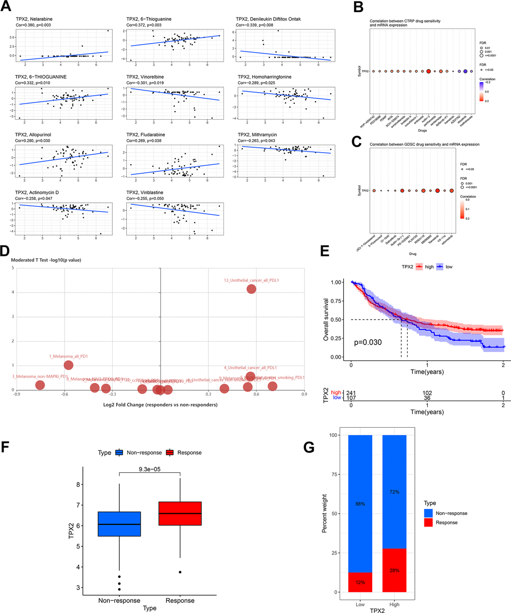 Drug sensitivity analysis and validation of the immunotherapeutic predictive value of TPX2. (A) Drug sensitivity analysis of TPX2 using the CellMiner database. (B) Correlation between CTRP drug sensitivity and TPX2 expression. (C) Correlation between GDSC drug sensitivity and TPX2 expression. Red dots indicate positive association. Blue dots indicate negative association. (D) Difference in expression of TPX2 between responders and non-responders undergoing anti-PD1/PD-L1 therapy using the TISIDB database. (E) Kaplan-Meier OS curves for TPX2 in IMvigor 210. (F) TPX2 expression was higher in responders than that in non-responders in IMvigor 210. (G) Treatment response rates with anti-PD-L1 therapy in patients with high and low expressions of TPX2 in IMvigor 210. p-value 
