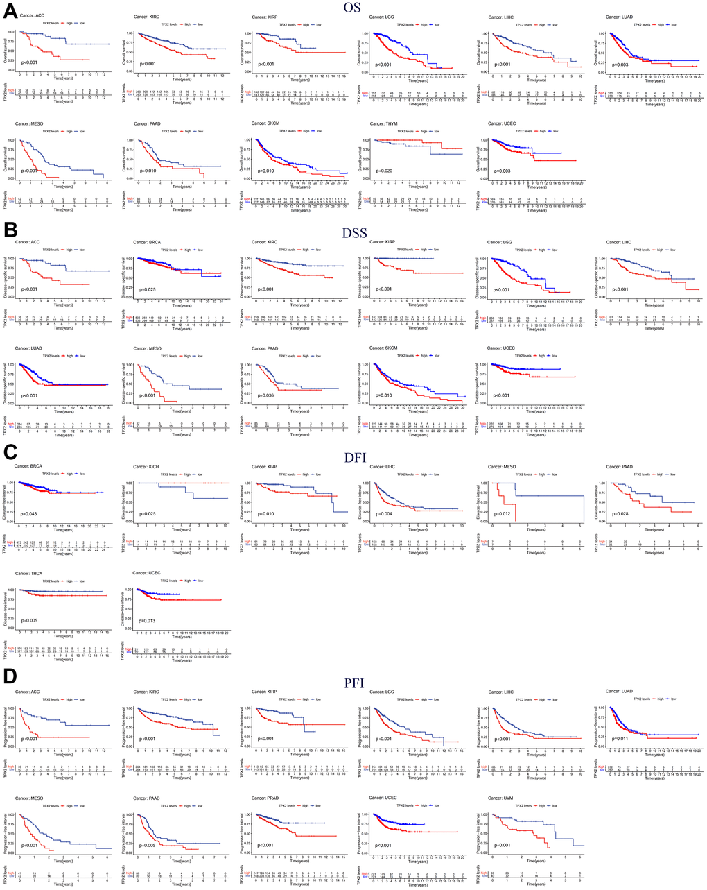 Kaplan-Meier survival curves comparing the expression of TPX2 in pan-cancer from the TCGA database. (A) Kaplan–Meier OS curves of TPX2 in 11 cancer types; (B) Kaplan–Meier DSS curves of TPX2 in 11 cancer types; (C) Kaplan–Meier DFI curves of TPX2 in 8 cancer types; (D) Kaplan–Meier PFI curves of TPX2 in 11 cancer types. p-value 