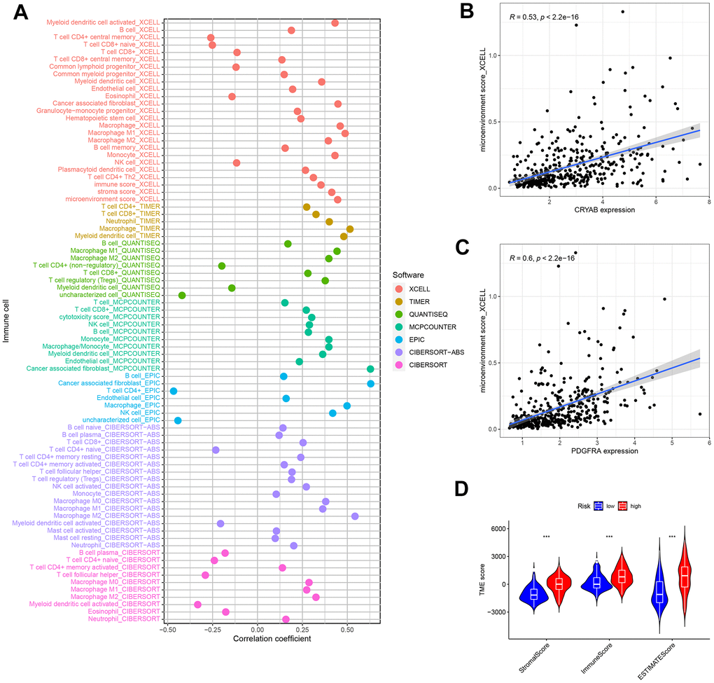 Tumor-infiltrating cells abundance estimation. (A) The significantly stronger correlation exists in the high-risk group as shown by the Spearman correlation analysis. (B, C) The correlation between the microenvironment and CRYAB and PDGFRA expression. (D) The TME score in the low and nigh risk groups.