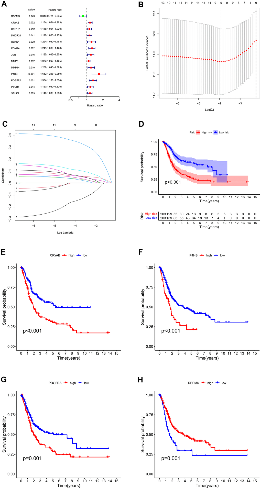 (A) The survival showed as Hazard ratio was determined by univariate Cox regression analysis in Forest plot. (B) Ten-fold cross-validation for tuning parameter selection in lasso regression. Vertical lines are drawn from the best data according to the minimum criterion and 1 standard error criterion. The vertical lines on the left represent the final 4 genes identified. (C) LASSO coefficient profiles of 13 OS-related genes. The 10-fold cross-validation value is marked by a vertical line. (D) The statistical difference exists in the overall survival between high-risk and low-risk groups as shown in the Kaplan-Meier curve. (E–H) The different overall survival between low and high CRYAB, P4HB, PDGFRA, and RBPMS expression was shown in the Kaplan-Meier curve respectively.