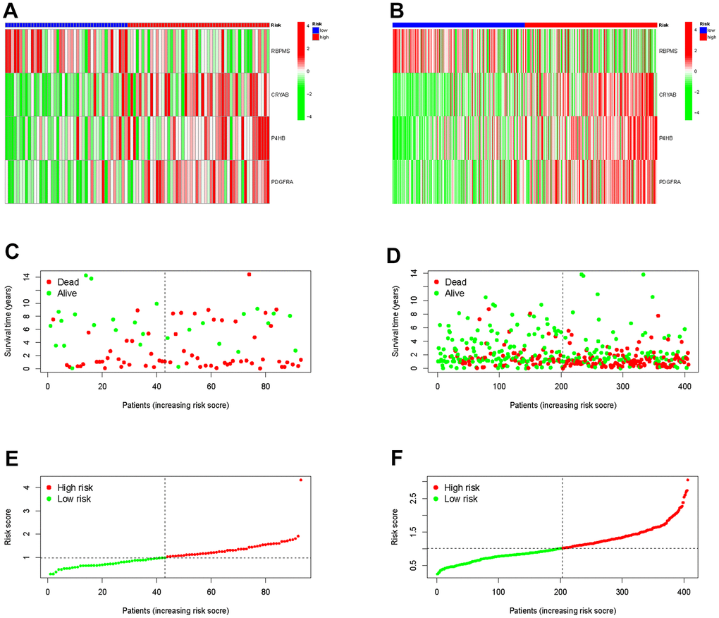 Validation the prognostic predictive value of risk scores in the TCGA cohort (A) and GEO cohort (B). Survival status and duration of BLCA patients in the TCGA cohort (C) and GEO cohort (D). The polygenic model risk score distribution in the TCGA cohort (E) and GEO cohort (F).