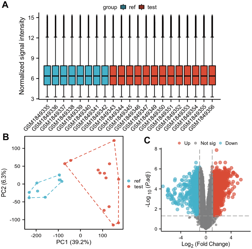 Differentially expressed genes identified in the GSE71989 dataset. (A) Box plot showing the correction across samples, (B) PCA plot showing the differences across samples after downscaling the high latitude data, and (C) volcano plot showing the genes that showed differential expression in GSE71989. Up-regulated genes are indicated by red nodes and down-regulated genes are indicated by green nodes.