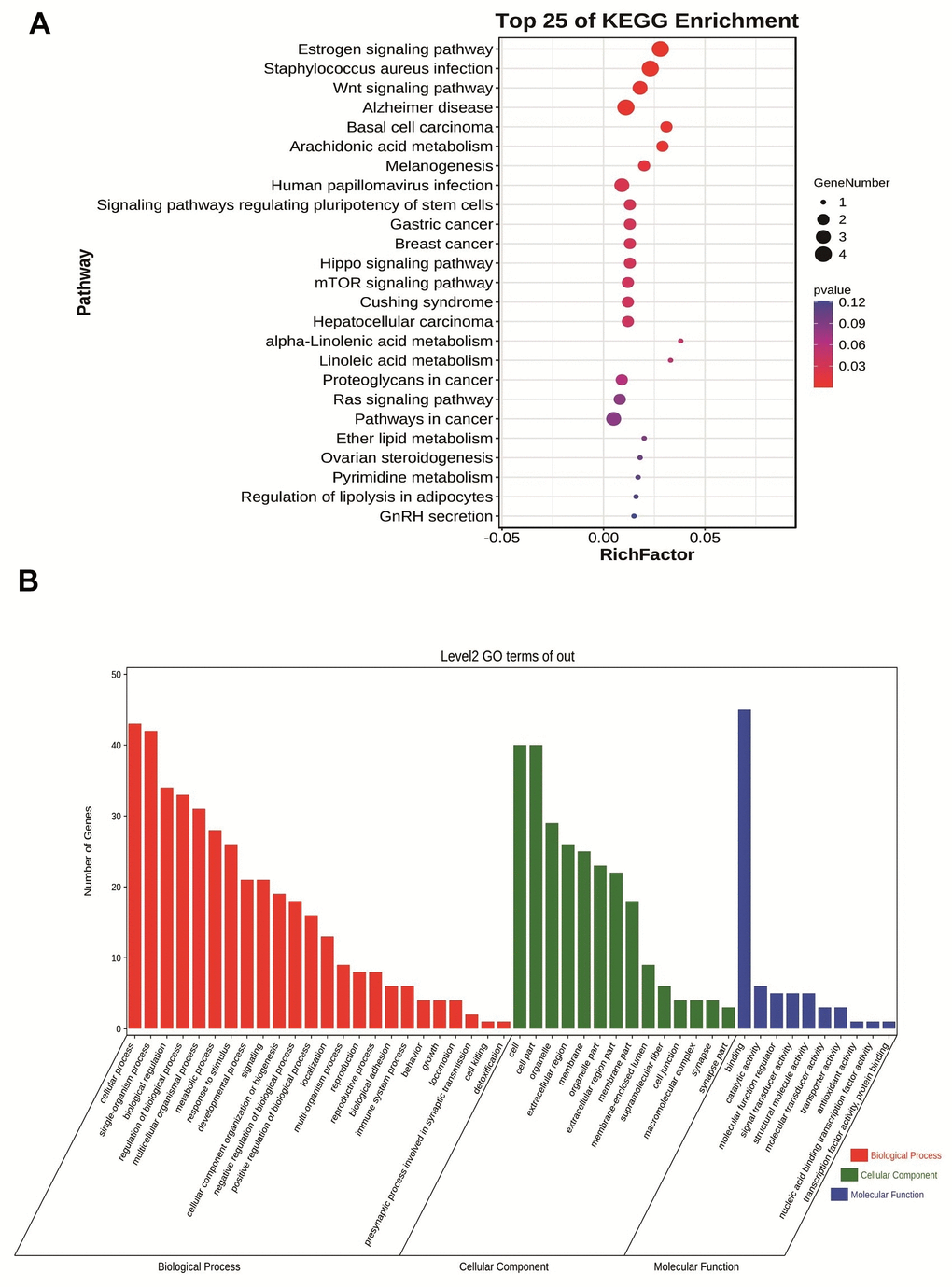 (A) Bubble plot of KEGG enrichment analysis of module feature genes in Navajowhite module. (B) Category histogram of the GO enrichment analysis of feature genes within the Navajowhite module.