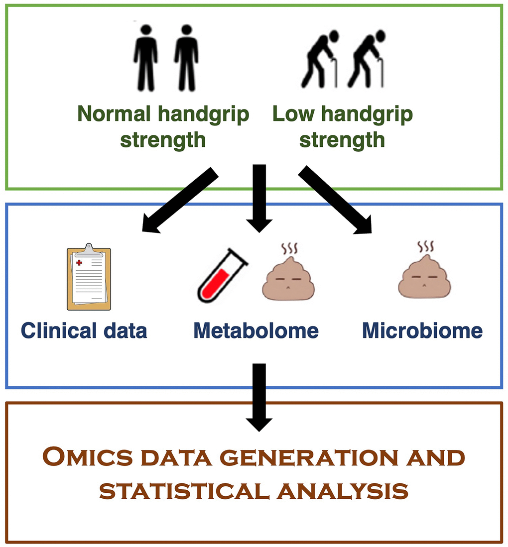 Overview of the study.