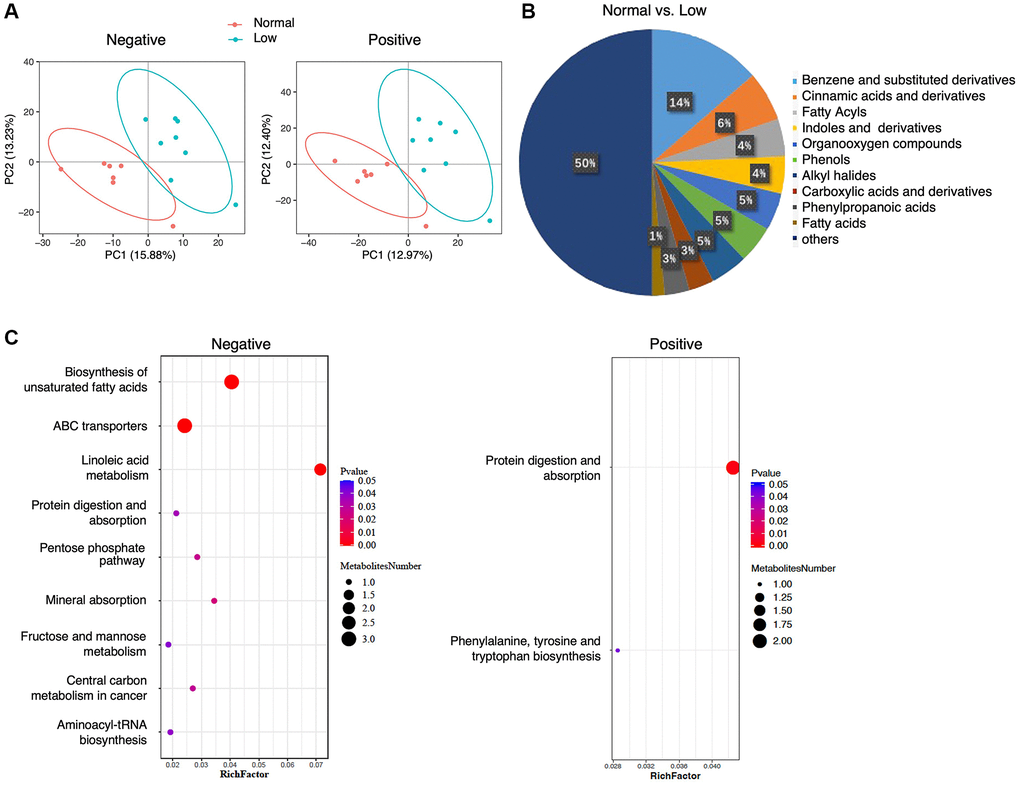 Serum metabolomics analysis. (A) PLS-DA analysis of the grouped discrimination by the first two principal components (PCs) in negative and positive ion modes. (B) Pie graph of the class composition according to the number of altered metabolites. (C) Bubble chart of the pathway enrichment analysis of differential metabolites analyzed in the negative- and positive-ion modes. RichFactor was the number of differential metabolites divided by the identified metabolites annotated to the pathway.