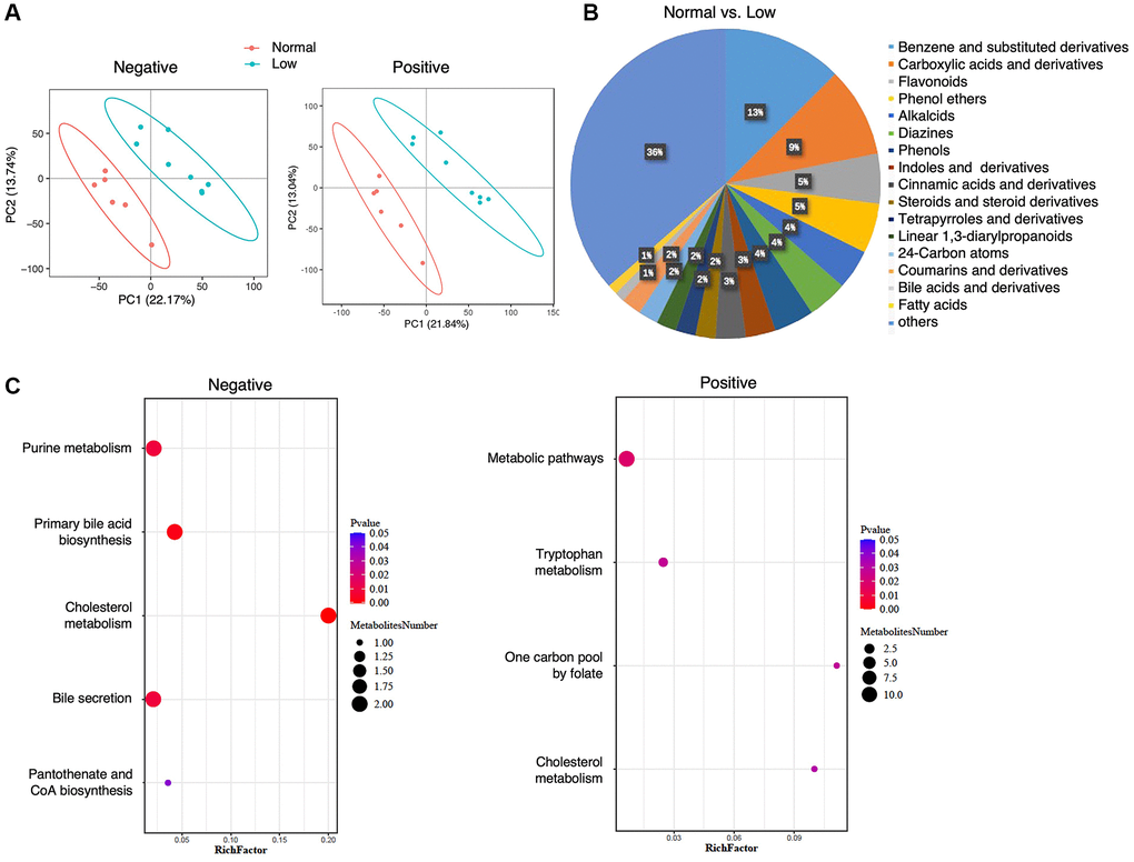 Fecal metabolomics analysis. (A) PLS-DA analysis of the grouped discrimination by the first two principal components (PCs) in the negative- and positive-ion modes. (B) Pie graph of the class composition according to the number of altered metabolites. (C) Bubble chart of pathway enrichment analysis of differential metabolites analyzed in the negative- and positive-ion modes. RichFactor was the number of differential metabolites divided by the identified metabolites annotated to the pathway.