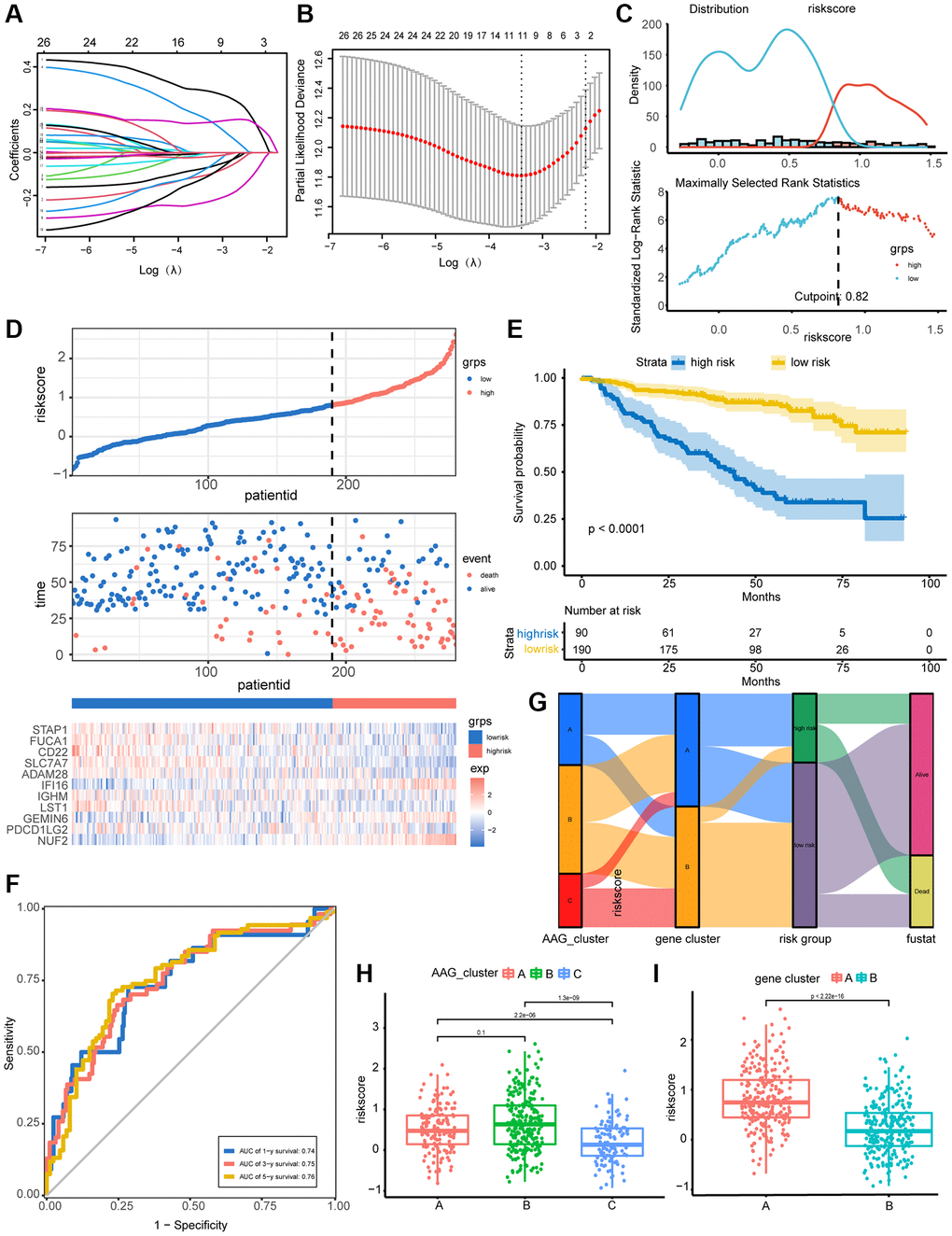 Construction and validation of the prognostic AAG