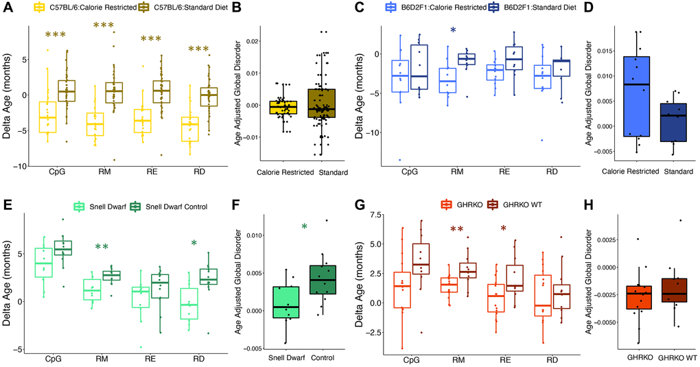 Epigenetic disorder is influenced by lifespan extending manipulations. The effect of caloric restriction in C57BL/6 mice on (A) epigenetic age predictions from each data type and (B) age-adjusted global disorder. The effect of caloric restriction in B6D2F1 mice on (C) epigenetic age predictions from each data type and (D) age-adjusted global disorder. Comparison of Snell dwarf and control mice on (E) epigenetic age predictions from each data type and (F) age-adjusted global disorder. The effect of growth hormone receptor knock-out (GHRKO) on (G) epigenetic age predictions from each data type and (H) age-adjusted global disorder. All plots show median, upper, and lower quartiles, and maximum and minimum. Outliers beyond 1.5 interquartile range are plotted.