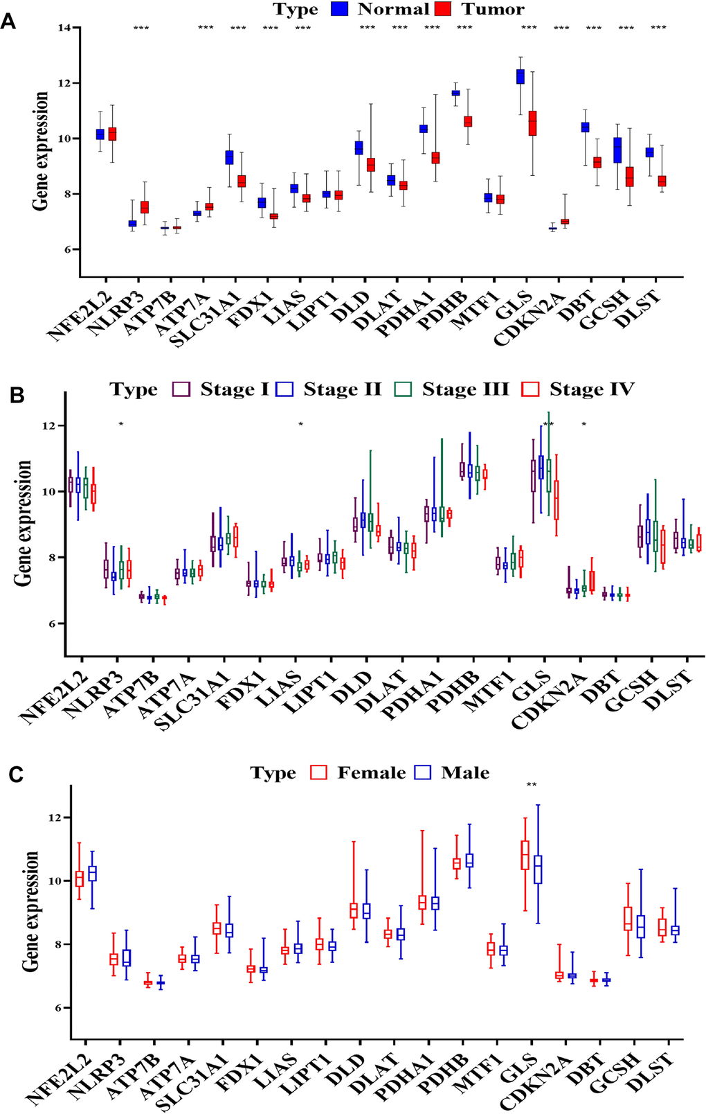 CRGs expression in progression of ccRCC. (A) Expression of CRGs in normal tissues and tumors samples from GSE40435 by (B) stage and (C) sex.