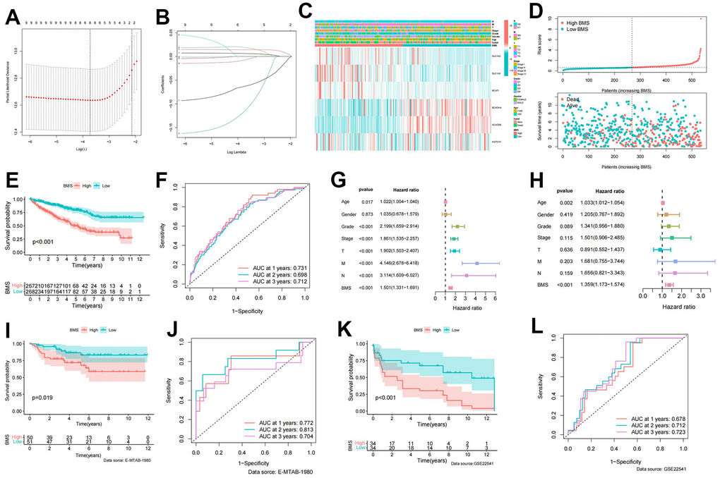 Establishment of BCAA metabolism-related signature. (A) LASSO coefficient profiles of the expression of 9 prognostic BCAA metabolism-related genes. (B) Selection of the penalty parameter (λ) in the least absolute shrinkage and selector operation (LASSO) model via 10-fold cross-validation. (C) Heatmap showing the model gene expression and clinicopathological variables in the BCAA metabolism-related signature (BMS); (D) Risk curve of the risk score rank, scatter plot for the survival status distribution; (E) The KM survival curve for the survival probability of patients in different groups; (F) Receiver operating characteristic (ROC) curve in predicting 1-,2-, and 3-year overall survival (OS) based on BMS. (G, H) Univariate and multivariate cox regression analyses of clinicopathological variables for predicting the survival in ccRCC patients. (I) The KM survival curve of BCAA metabolism-related signature in the E-MTAB-1980 cohort. (J) ROC curve in predicting 1-,2-, and 3-year OS based on BMS in the E-MTAB-1980 cohort. (K) The KM survival curve of BCAA metabolism-related signature in the GSE22541 cohort. (L) ROC curve in predicting 1-,2-, and 3-year OS based on BMS in the GSE22541 cohort.