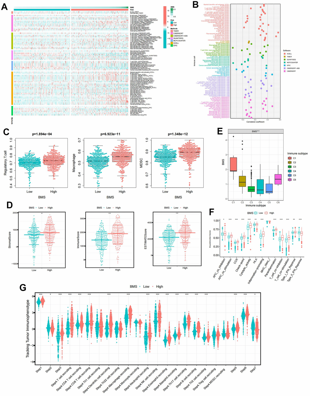 The immune characteristic of BMS groups. (A) Distribution of immune infiltrating cells between BMS groups using seven mainstream algorithms. (B) Correlation analysis of immune infiltrating cells between BMS groups using seven mainstream algorithms. (C) Abundances of main immunosuppressive infiltrating cells (MDSCs, macrophages, and regulatory T cells) in TME in two subgroups. (D) Samples in the high-BMS group exhibited higher ESTIMATE, stromal, and immune scores than the low-BMS group. (E) Association between BMS and the previously reported pan-cancer immune subtypes. (F) Differences in the 13 immune-related functions between high- and low-BMS groups. (G) Evaluation of the anticancer immunological functions of the seven-step cancer-immunity-cycle between high- and low- BMS groups. Wilcox test was used, and the asterisks represent the statistical P-value (*p p p 