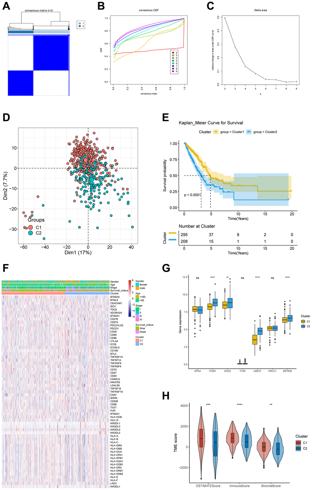 Correlations of DRG clusters with CRSGs, ICGs, and TME. (A) The TCGA-LUAD cohort was partitioned into two distinct clusters based on the consensus clustering matrix (k = 2). (B) Uniform clustering CDF with k from 2 to 9. (C) The alteration in the area beneath the CDF curve as the value of k varies from 2 to 9. (D) The PCA plot showed the distribution of samples among 2 DRG clusters. (E) Kaplan-Meier survival analysis for two DRG clusters. (F) The heatmap analysis revealed distinct patterns of ICGs expression, as well as clinicopathological features, that distinguished DRG cluster 1 from DRG cluster 2. (G) The differential expression of seven CRSGs between two distinct clusters of DRGs. (H) Exploring the correlations between CRG clusters and TME scores. *P **P ***P ****P 