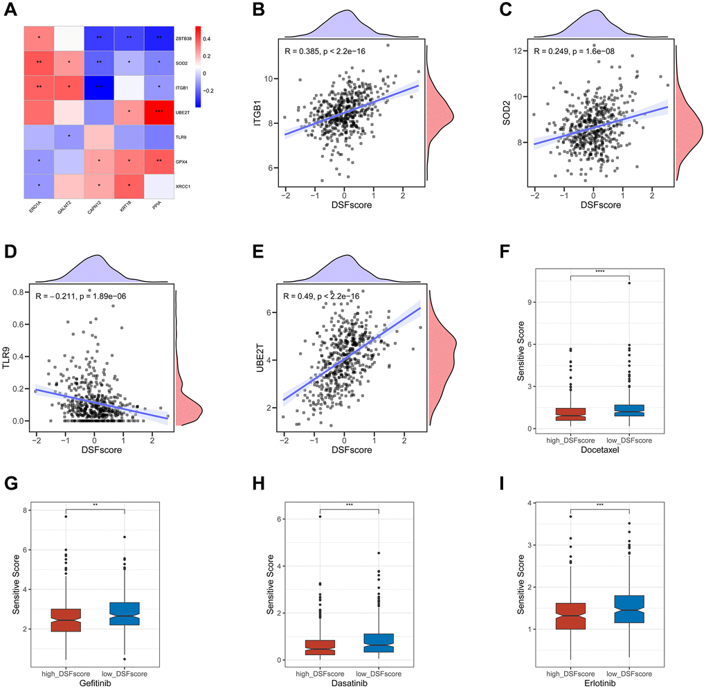 Correlations of the DRG score with CRSGs and chemotherapeutic sensitivity in LUAD. (A) Correlations between the expression of CRSGs and five genes in the DRG prognostic model. (B–E) Correlations between the expression of CRSGs and the DRG score. (F–I) Difference in chemotherapeutic sensitivity between high- and low-risk groups. *P **P ***P ****P 