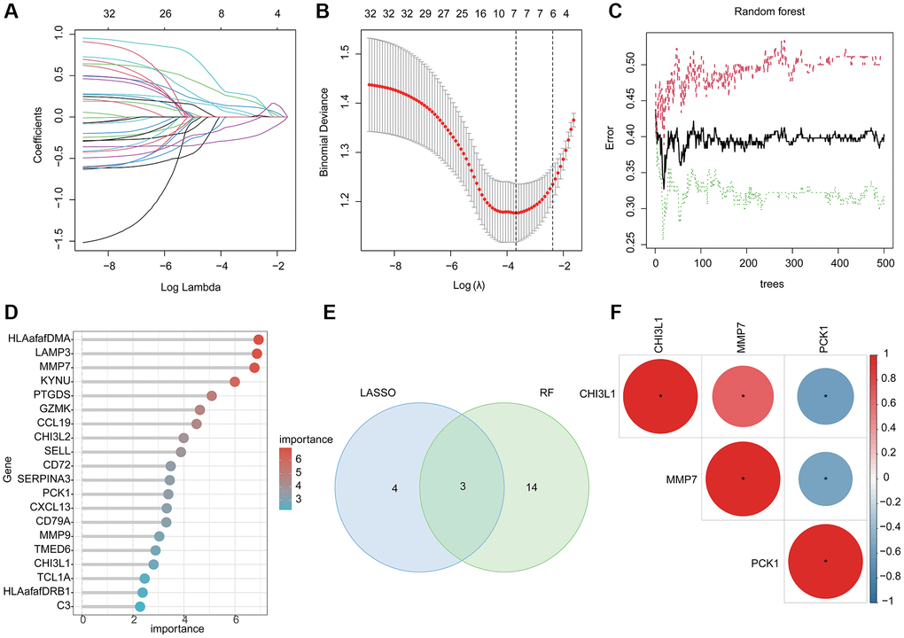 Machine learning based BRGs diagnostic biomarkers identification. (A, B) LASSO analysis of 32 pivotal BRGs related gene signatures. (C, D) The importance calculation of BRGs related gene signatures via RF algorithm. (E) Identification of BRGs related diagnostic biomarkers via RF and LASSO. (F) Potential correlation analysis of 3 BRGs related diagnostic biomarkers.