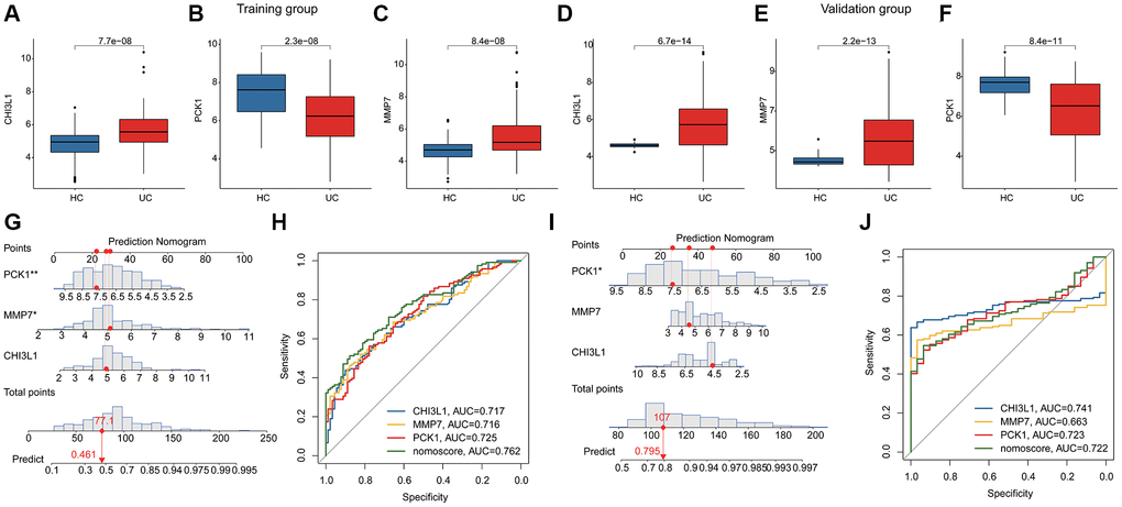 Diagnostic ability estimation and nomogram model development of BRGs related biomarkers in UC. (A–F) The expression level of BRGs related biomarkers of HC and UC samples in the training and validation subgroups. (G) Nomogram development of CHI3L1, PCK1, MMP7 in the training subgroup. (H) ROC analysis of BRGs related biomarkers and nomogram in the training subgroup. (I) Nomogram development of CHI3L1, PCK1, MMP7 in the validation subgroup. (J) ROC analysis of BRGs related biomarkers and nomogram in the validation subgroup.