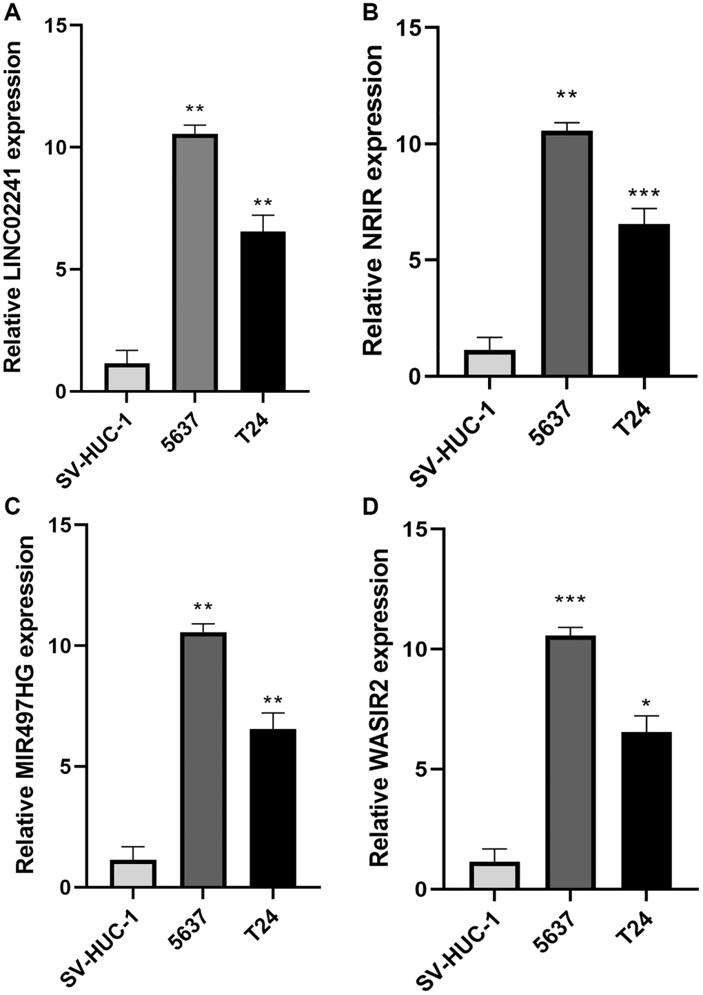 Expression of necroptosis-related genes in bladder cancer. (A–D) Relative expression of LINC02241, NRIR, MIR497HG and WASIR2 in 2 BCa cell lines (5637, T24) and SV-HUC-1 cell line. *p **p ***p 