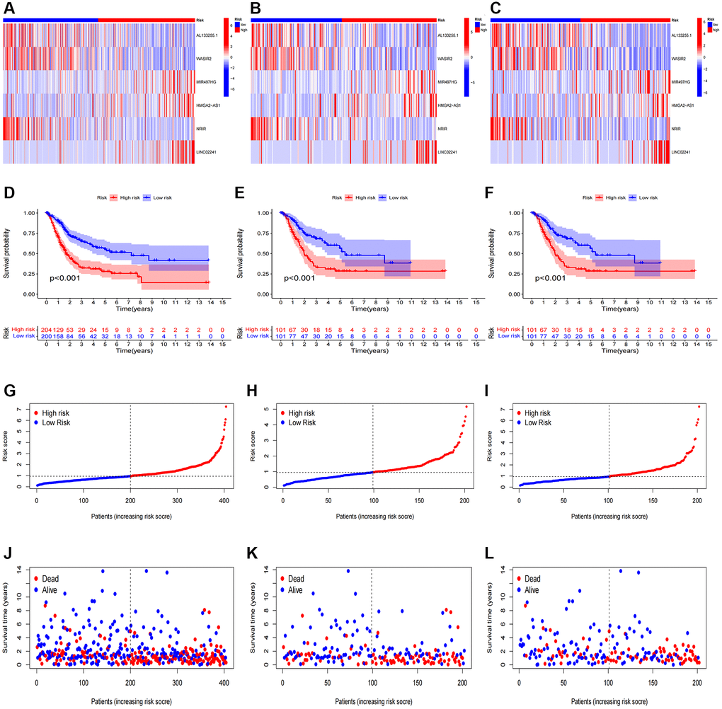 Prognosis evaluation and internal verification of the risk model. Heatmaps of six lncRNA expressions (A–C), risk model (D–F), survival time and survival status (G–I), and Kaplan-Meier survival curves of patients (J–L) in the entire, train, and test cohorts, respectively.