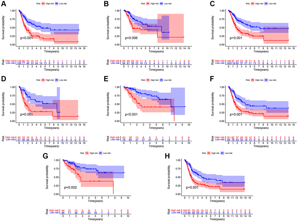 Clinical significance of the risk model. (A, B) Patients with age >65 and age ≤65; (C, D) Female patients and male patients; (E, F) Patients with stages I–II and stages III–IV; (G, H) Patients with stages T1-2 and stages T3-4.