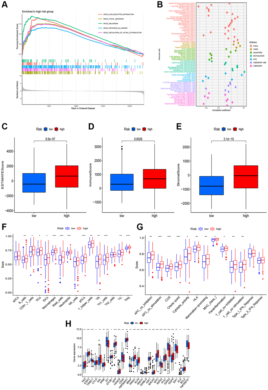 Correlations of the risk score with tumor immune microenvironment. (A) GSEA of the significantly enriched pathways in the high-risk group; (B) The immune cell bubble of risk groups; (C–E) The boxplots of the comparison of ESTIMATEScore, ImmuneScore and StromalScore, respectively, between low-risk and high-risk groups; (F, G) The infiltration level of 16 immune cells and 13 immune functions. (H) The expression of common immune checkpoints in the risk groups. *p **p ***p 