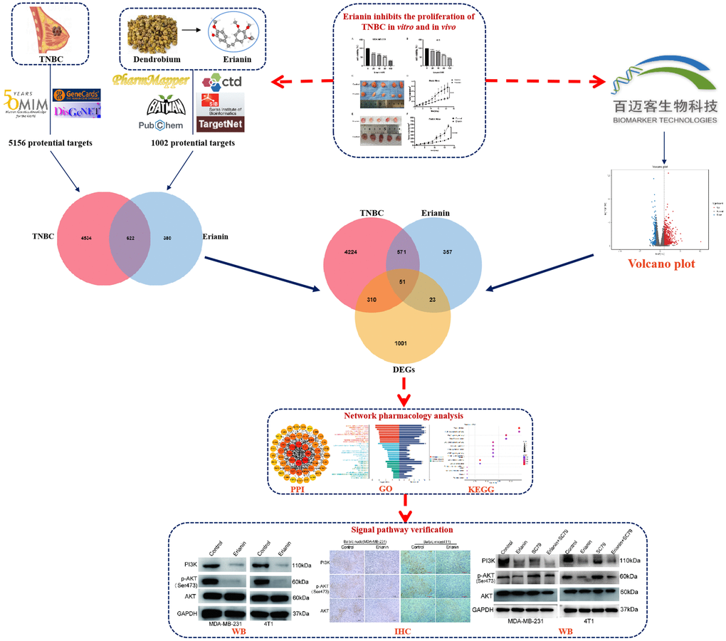 Workflow diagram of the research.