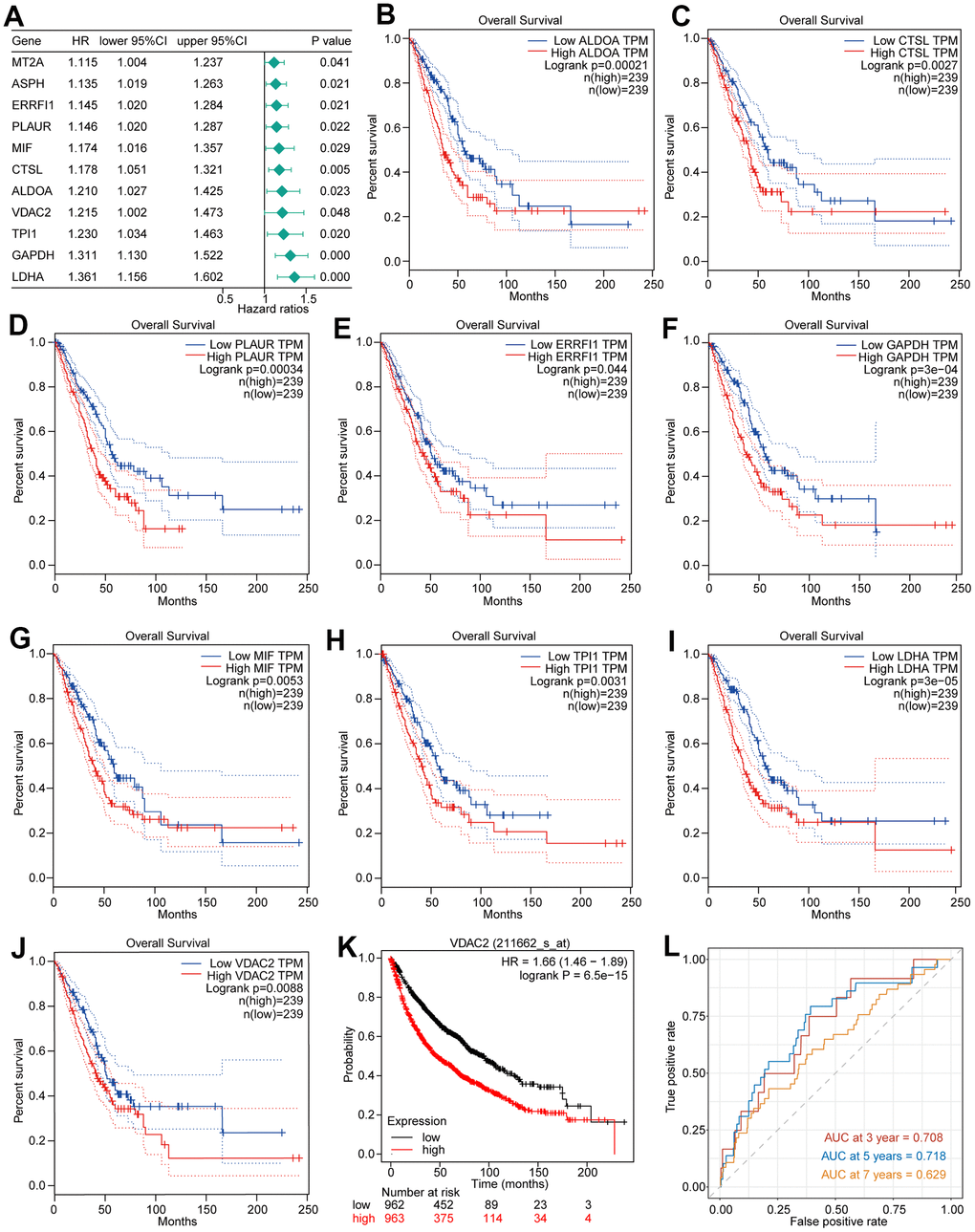 Hypoxia heterogeneous NSCLC subpopulation related genes’ prognostic value in NSCLC. (A) The 11 prognosis related genes with HR greater than 1. (B–J) The Kaplan Meier survival curves of 9 genes expression (high and low) in the TCGA-LUAD dataset. (K) The results of Kaplan Meier survival analysis of VDAC2 in the 2437 NSCLC patients. (L) Time dependent ROC curves of VDAC2 in NSCLC.
