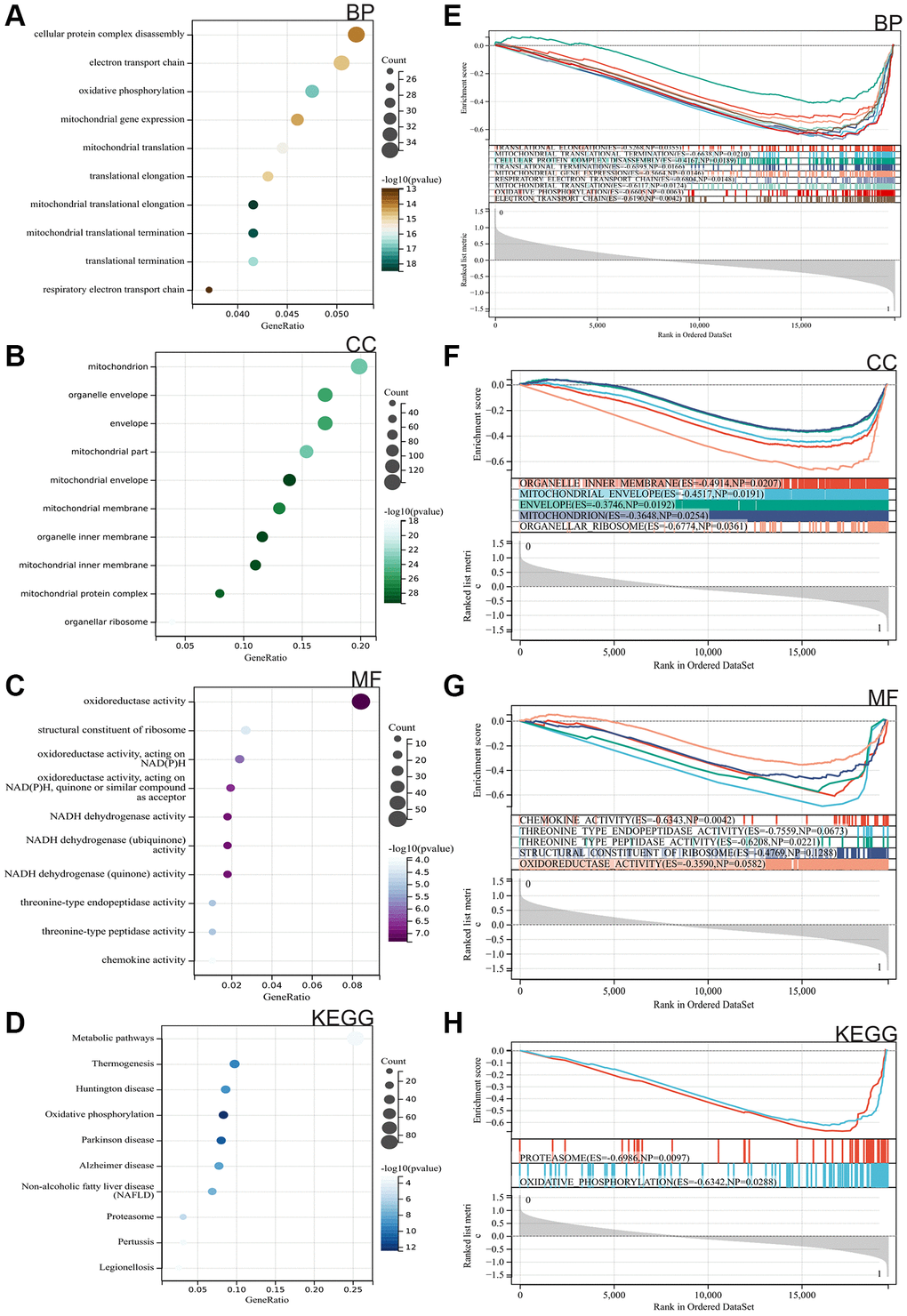 Functional enrichment analysis. (A–C) Gene Ontology (GO). (D) Kyoto Encyclopedia of Genes and Genomes (KEGG). (E–H) Gene Set Enrichment Analysis (GSEA).