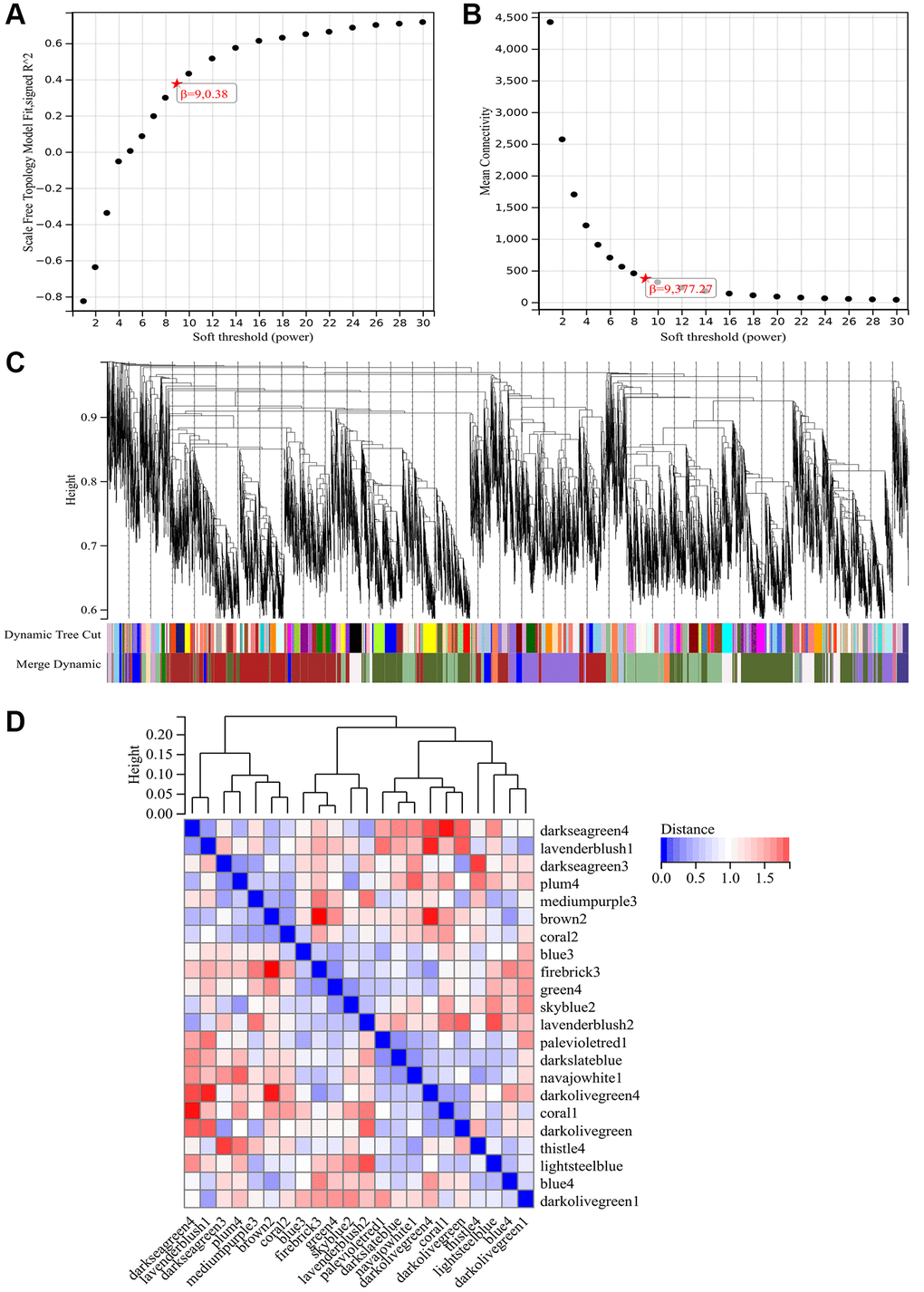 WGCNA. (A) β = 9, 0.38. (B) β = 9, 377.27. (C) Construction of hierarchical clustering tree for all genes and generation of important modules. (D) Analysis of interactions between modules.