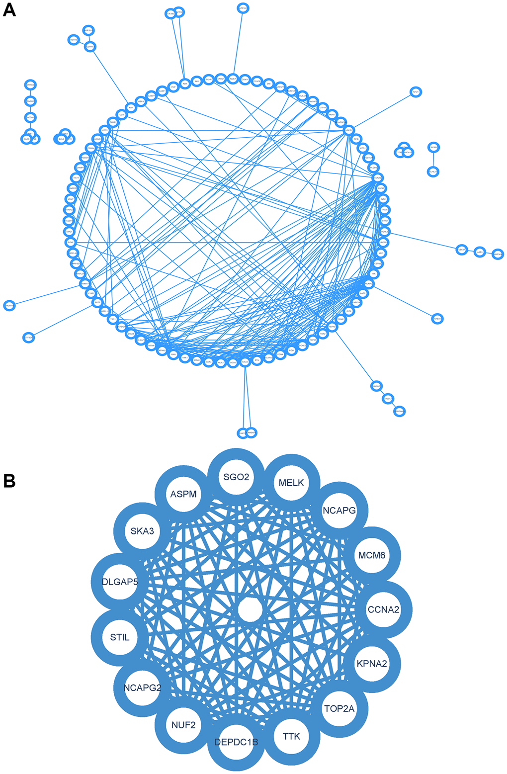 Construction and analysis of protein-protein interaction (PPI) network. (A) PPI network of DEGs. (B) Core gene clusters.